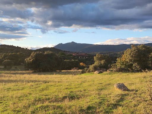 Finca de la Paz