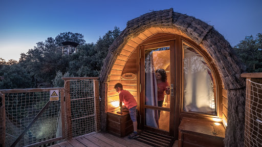 Cabañas en los árboles Monte Holiday Ecoturismo