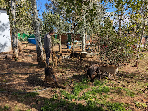Residencia Canina Sarbecan