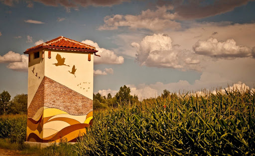 Eco - Albergue Fundación Tormes ARTE EMBOSCADO (BOSQUE ENCANTADO)