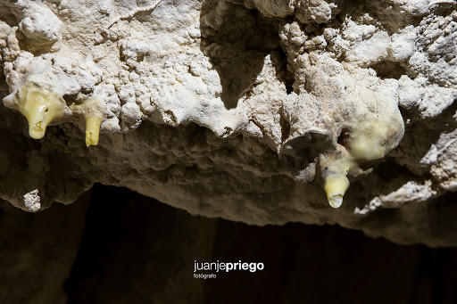 Cueva de los Murciélagos