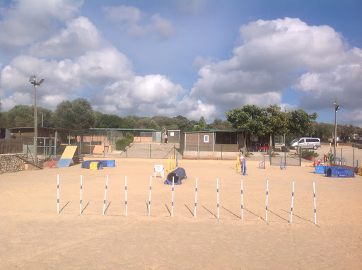 RESIDENCIA CANINA Y FELINA ALAIOR. BOARDING KENNELS & CATTERY ALAIOR. ESCUELA DE ADIESTRAMIENTO CANINO . DOG TRAINING SCHOOL