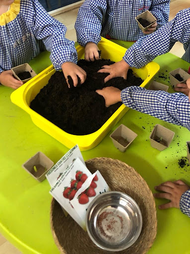 Escuela Infantil ARIES