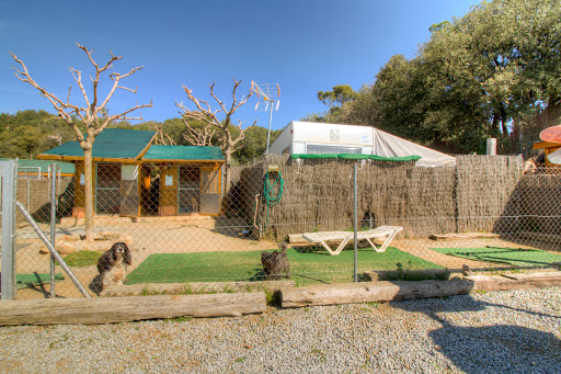 DOS ROSAS PET RESORT