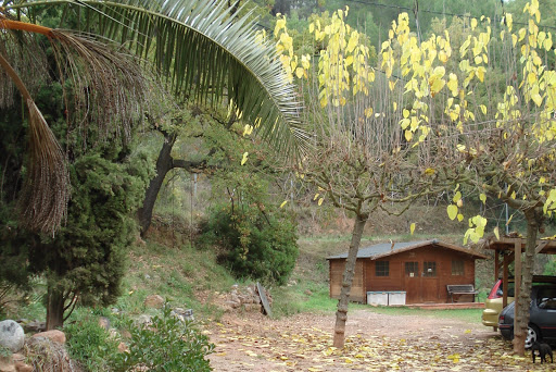 Residencia Canina Els Masets